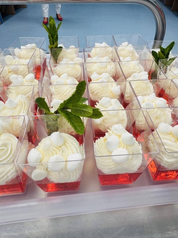 494157236_122249038184072202_2537155503707617746_n